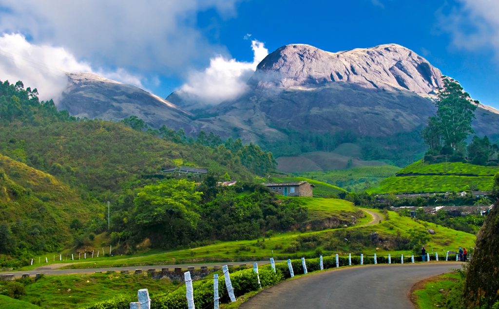 Best Time to Visit Munnar | Kerala